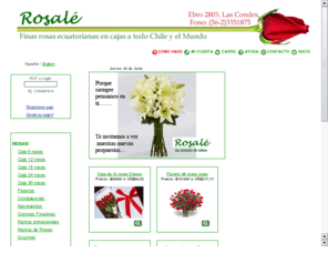 rosale.cl: Rosalé
