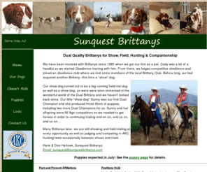 sunquestbrittanys.com: Sunquest Brittanys
