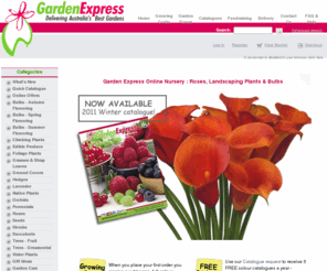 gardenexpress.com.au: Garden, Online Nursery Landscaping Plants, Gardening Roses & bulbs| Garden Express
Garden Express - Australia's leading mail order online nursery offering the largest range including bulbs, roses, perennials, fruit trees, landscaping plants and gardening tools. Our free catalogues, 100% guarantee and economical Australia-wide delivery makes buying plants easy.