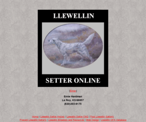 llewellinsetter.net: Llewellin Setter Online - Llewellins
Llewellin Setters America's Choice The formost site for Llewellins Setters. Breeder and Llewellin resourses, History, Faq, pictures and pedigrees,web design for all breeds