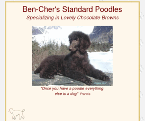 ben-chers-poodles.com: Ben-Cher's AKC Chocolate Standard Poodles Puppies
Professional Breeder of Quality. Our AKC Chocolate Standard Poodles are hallmarked for their retrieving skills. We do specialize in chocolate brown but have other colors available.