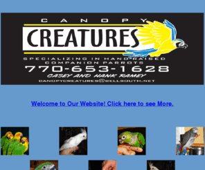 canopycreatures.com: Canopy Creatures - 770.653.1628
Canopy Creatures, specializing in Hand Raised Companion Birds