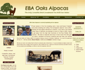 ebaoaksalpacas.com: EBA Oaks Alpacas - Raising quality huacaya alpacas in California
EBA Oaks Alpacas, located in northern California, breeds and raises alpacas for fleece and sale. Contact us for a farm visit.