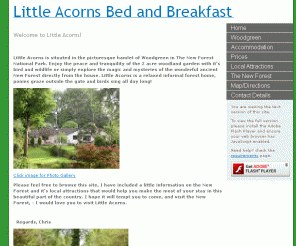 new-forest-bed-and-breakfast.co.uk: Little Acorns Bed and Breakfast
Welcome to Little Acorns!

Little Acorns is situated in the picturesque hamlet of Woodgreen in The New Forest.  Enjoy the peace and tranquility of the 1.5 acre woodland garden with it's bird and wildlife or simply explore the magic and mysteries of the wo