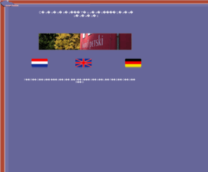 hotelpetski.com: index
kies taal voor hotel petski