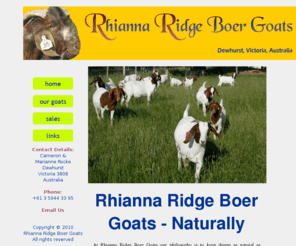 rhiannaridge.com: Rhianna Ridge Boer Goats
boer, goat, boer goat, victoria, melbourne, australia, for sale, fullblood