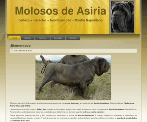 molososdeasiria.es: Molosos de Asiria
