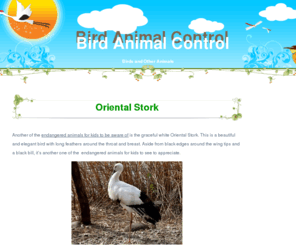 bird-animal-control.com: Animal Control and Bird Control
Animal Control and Bird Control Services, Professionals, Advice, and Information