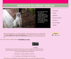 meowrescue.org: Home Page
Home Page