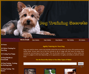 trainingdoggie.com: Dog Training Secrets Including Obedience and Agility Training
Dog Training Basics Including Understanding Your Dogs Behavior, Chewing and Barking Habits