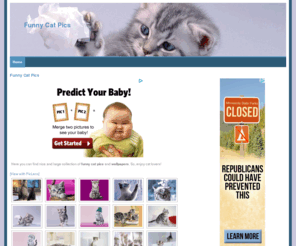funnycatpics.net: Funny Cat Pics
Collection of Funny Cat Pictures