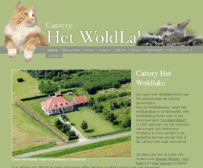 hetwoldlake.nl: Cattery Het WoldLake ~ Blauwe Russen
Cattery HetWoldlake voor Blauwe Russen en Noorse Boskatten