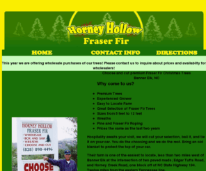 Bannerelkfraserfir Com Horney Hollow Fraser Fir Located In