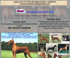 desnessiekindern.com: Page d'accueil
