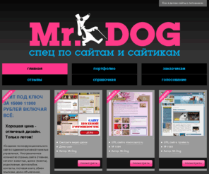 mrdog.ru: Mr.Dog -     ,
          3000 