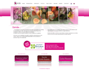 sandegroup.nl: Sandegroup - Sande BV
Sande B.V. Zantedeschia's, Bloembollenkwekkerij, -handel en veredeling speciaal in lelies en zantedeschia is 
	een vooruitstrevend bedrijf in de wereld van lelies en zantedeschia.