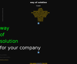 wayofsolution.com: way of solution Cover
