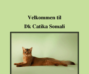 catika.com: catika.com
