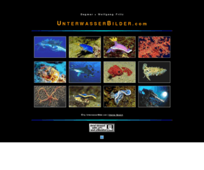 unterwasserbilder.com: Unterwasserbilder Dagmar   Wolfgang Fritz, Unterwasserbilder und Diashows aus allen Meeren
Unterwasserbilder aus fast allen Weltmeeren, Diashows, Vorträge, Fischerkennungen und, und, ...