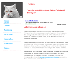 tierische-katzen.de: Katzen-Ratgeber - Tierische-Katzen.de
www.tierische-katzen.de ist ein Ratgeber für Anfänger in das Thema Katzen. Wichtige Informationen zu Haltung, Futter, etc.