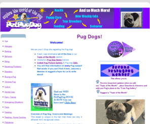 petpugdog.com: PetPugDog |  Pug Dog Information Center
Learn about the largest toy breed dog, the Pug. Complete and vital Pug information We are dedicated to the love, caring and health of Pugs.