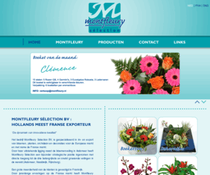 montfleury.nl: Montfleury Sélection : Hollands meest Franse exporteur - Montfleury.nl
Het bedrijf Montfleury Sélection BV, is gespecialiseerd in im- en export van bloemen, planten en decoraties voor de Europese markt en met name de Franse markt.