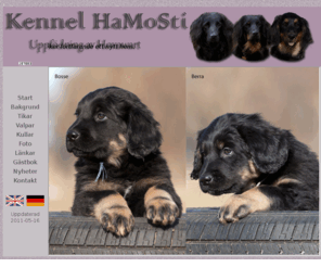 hamosti.com: Kennel HaMoSti
