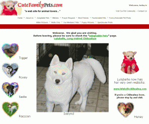 cutefamilypets.com: Dog Cat Photos Puppy Kitten Pictures and Adoptable Pets
Show of your puppy photos, kitten photos, cats, dogs, and view adoptable pets and animal theme gift ideas at CuteFamilyPets.com.