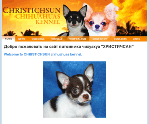 chihuahua-spitz.ru: Chihuahua. Christichsun kennel - HOME
Чихуахуа, карликовая собака, чихуахуа щенки, щенки чихуахуа, питомник чихуахуа, чихуахуа длинношёрстный, чихуахуа короткошёрстный, Христичсан, Профессиональное разведение чихуахуа традиционных и редких окрасов. Продажа щенков.