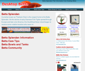 desktopbetta.com: Betta Splenden Fish Information from Desktop Betta
From Basic Betta Slpenden Information to Betta Fish Care tips. Betta Bowls and Tank as well as Betta Community Information