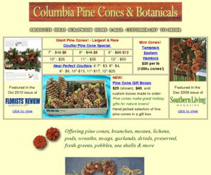 pinecones.com: Purchase Pine Cones Here
Columbia Pine Cones and Botanicals has pinecones, branches, wreaths, lichens, pods, pebbles and shells for decorations, displays, and floral arrangements.