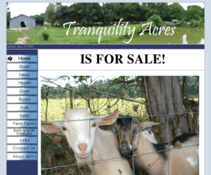 tranquilityacres.net: Tranquility Acres Farm
Free web site templates to jump start your new web site.