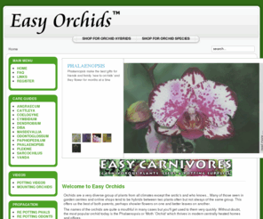 easybamboo.com: Welcome to Easy Orchids
Buying Orchids and growing orchids - the home of orchid growing for Phalaenopsis, Cattleya, Vanda, Dendrobium and more