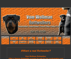 realrottweiler.com: Vom Wollman Rottweilers, Rottweiler Puppies, Rottweiler breeders, Rottweiler breeder.
Offering beautiful German Rottweiler puppies for top conformation and extreme working ability, German Rottweiler breeder offering Rottweiler puppies for sale, Rottweiler youths for sale, Rottweilers adults for sale, and Rottweiler imports for sale.