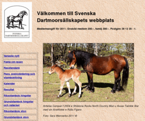 dartmoorponny.org: Svenska Dartmoorsällskapets webb-plats
Svenska Dartmoorsällskapets webb-plats.