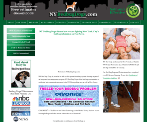 nycbedbugdogs.org: Welcome to New York Bedbug Dogs - NYC Bed Bug Exterminator | Bed Bug Exterminator NYC | Bed Bug Exterminator Brooklyn
Bed bug exterminator NYC. If you have bed bugs in NYC call New York Bed Bug Dogs immediately.