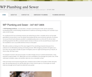 wpplumbingandsewer.info: WP Plumbing and Sewer  are able to fix sump pumps, drains, AC Systems and moew
