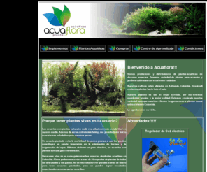 acuaflora.com: Acuaflora plantas acuaticas
Acuaflora es el mayor productor de plantas acuaticas en colombia. Adquiera la mejor variedad de plantas de acuario y jardines acuaticos
