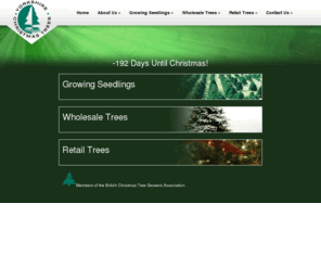 yctgroup.co.uk: Welcome - Yorkshire Christmas Trees
Yorkshire Christmas Trees are recognised as the leading grower & suppliers of high quality and good value Christmas Trees.