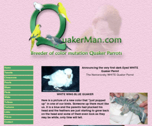 quakerman.com: Quakerman Parrots - Breeder of color mutation quaker parrots
Breeder of color mutation quaker parrots