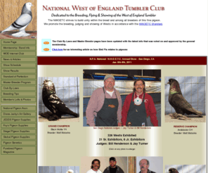 nwoetc.com: National West of England Tumbler Club
Dedicated to the Breeding, Showing and Flying of the West of England Tumbler Pigeon.