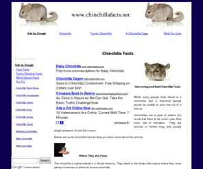 chinchillafacts.net: Chinchilla Facts - Information on Chinchillas
Facts about chinchillas. Includes information on chinchilla facts, chinchilla accessories, chinchilla colors, chinchilla food, chinchilla house, chinchilla treats, breeding chinchillas, black chinchilla, wild chinchillas, and more.