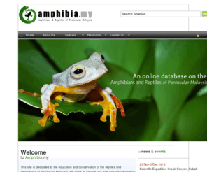 amphibia.my: Amphibia.my :: Reptiles & Amphibians of Peninsular Malaysia
Amphibians and Reptiles of Malaysia - Dedicated to the education and conservation of the Amphibians and Reptiles of Malaysia