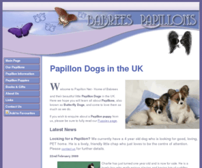 papillonnet.co.uk: Babrees Papillon Dogs - Papillon Breeders in the UK
Learn all about the little Papillon Dog - the ideal family companion. Visit our web site for complete information, puppies available and hundreds of papillon pictures!