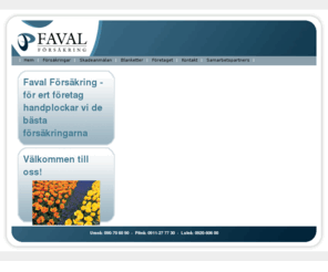 faval.com: Faval Försäkring
För ert företag handplockar vi de bästa försäkringarna!