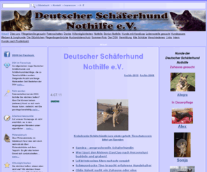 dsh-nothilfe.de: Deutscher Schäferhund Nothilfe e.V
Deutscher Schäferhund Nothilfe e.V., Nothilfe für Deutsche Schäferhunde in Not und Schäferhundmischlinge.Vermittlungshilfe für Schäferhund in Not .Vermittlung von Hunden in  Not.