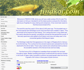 findkoi.com: Koi For Sale
Simply the best Koi for sale at findkoi.com, Exotic Carp from Japan and USA for less.