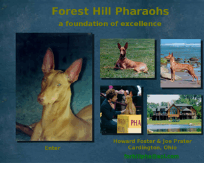 foresthillpharaohs.com: Enter
This web site has been created technology from V Communications, Inc.