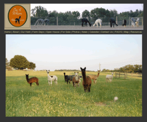 onawhimalpacafarm.com: On A Whim Alpaca Farm
