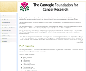 carnegiecancerfoundation.org: Home - The Carnegie Cancer Foundation
The Carnegie Foundation for Cancer Research was founded to honor the life and work of Ethlyn Sybil Carnegie and to commemorate her dedication to humanity in the pursuit of excellence in healthcare.